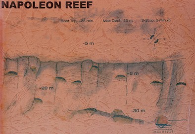 Napoleon Reef